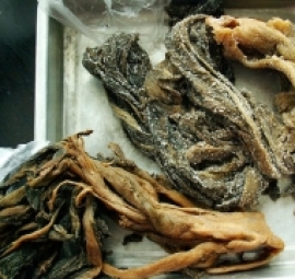 cải muối nguyên lá ( cải mùi xôi )
