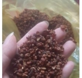 hạt xuyên hoa tiêu đỏ 红花椒乾