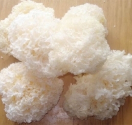 nấm tuyết trắng 