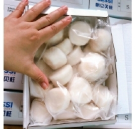 鲜急冻元贝（sò điệp đông lạnh )