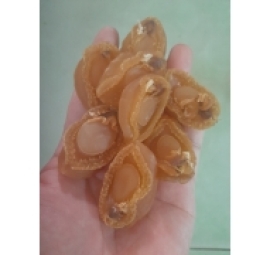 越南小鲍鱼 bào ngư khô việt nam 