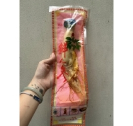 nhân sâm tươi 鲜人参