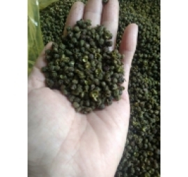 hạt xuyên tiêu xanh 麻椒 青花椒