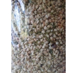 茉莉花乾 hoa nhài nụ khô 