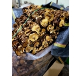 nấm hương rừng 越南香信菇