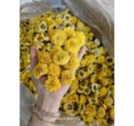 黄金菊花乾 bông cúc hoàng kim khô 