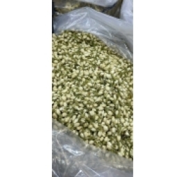 茉莉花焙乾 hoa lài nụ sấy khô 