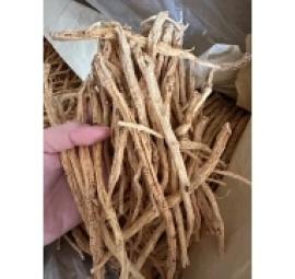 phòng đảng khô 防党参