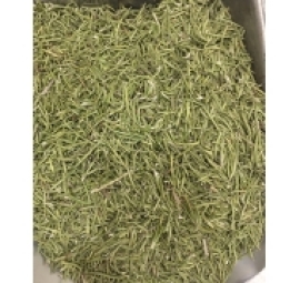 lá hương thảo làm trà uống 迷迭香叶用来泡茶