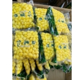 白果仁 bạch quả không vỏ 