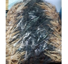 cải trắng phơi khô 白菜乾