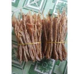xá sùng 沙虫 