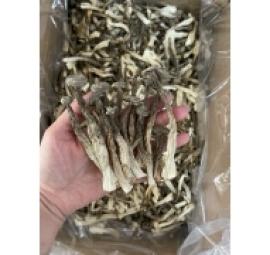 nấm lộc nhung 鹿茸菇 