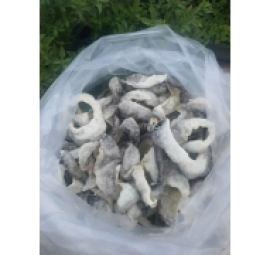 鱼皮 da cá khô chưa chế biến 