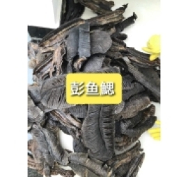 mang cá đuối khô 彭鱼鳃 