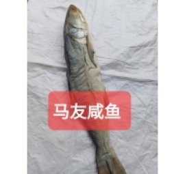 khô cá chét 马友咸鱼 