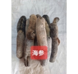 hải sâm đen khô 黑海参 