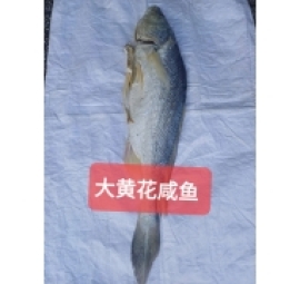大黄花咸鱼 khô cá sửu 