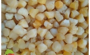 sò điệp khô ( việt nam ) 