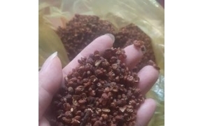 hạt xuyên hoa tiêu đỏ 红花椒乾
