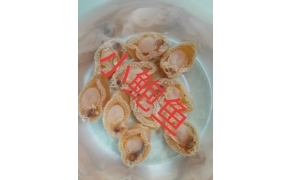 小鲍鱼（ bào ngư khô )