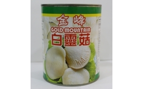 nấm bạch linh ( bailing mushroom )