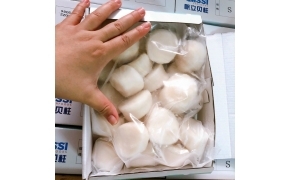 鲜急冻元贝（sò điệp đông lạnh )