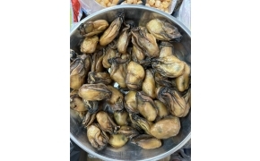 蠔豉乾（hàu sấy khô )