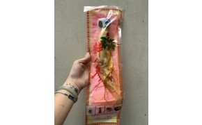 nhân sâm tươi 鲜人参