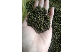 hạt xuyên tiêu xanh 麻椒 青花椒