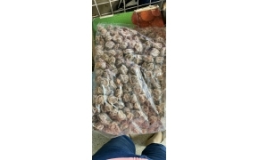 xí muội thịt 话梅肉