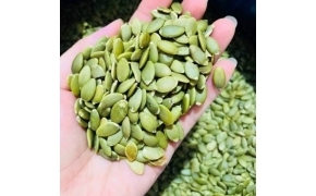 nhân hạt bí xanh 