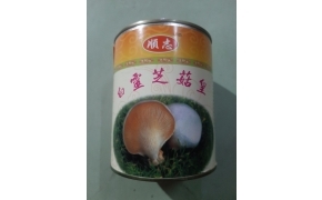 nấm bạch linh 白灵菇罐头 