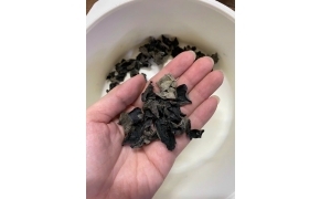 nấm mèo đông bắc dùng trộn gỏi 