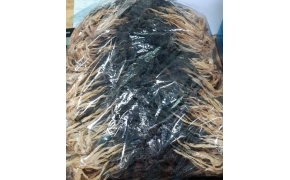cải lá trắng phơi khô - cải khô 