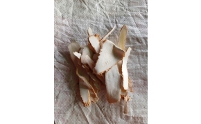 bạch chỉ 白芷 