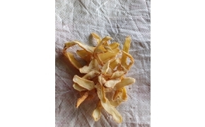 ngọc trúc 玉竹