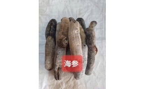 hải sâm đen khô 黑海参 