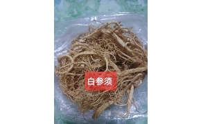 白参须 sâm râu trắng