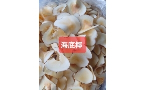 dừa đáy biển khô 海底椰
