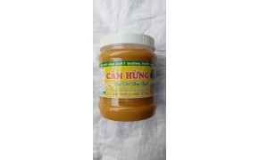 椰糖浆 đường thốt nốt sệt cẩm hừng 1kg 