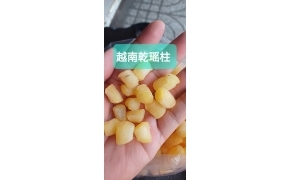 越南乾瑶柱 sò điệp khô việt nam 