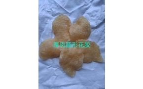 phá cáo 花胶
