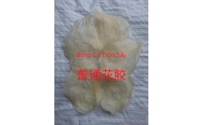 普通花胶 phá cáo thông thường 