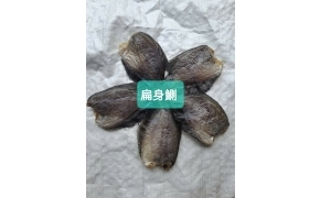 khô cá sặc không đầu size 8 con 扁身鰂